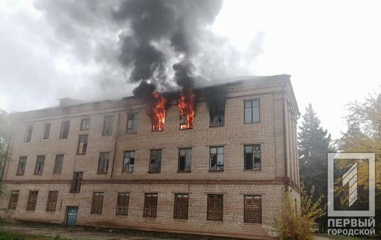 Рятувальники Кривого Рогу боролись із масштабною пожежею у покинутому будинку