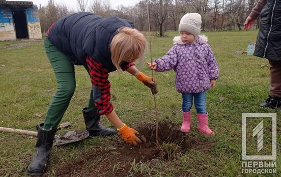 В бывшем парке минеральных вод Кривого Рога высадили 120 кленов, вишню и шелковицу