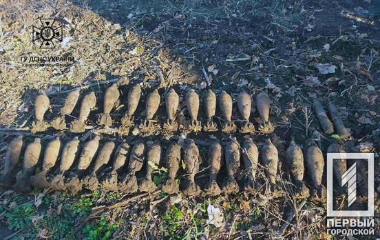 На Дніпропетровщині знайшли та знищили 35 вибухонебезпечних предметів, більшість з них у Криворізькому районі