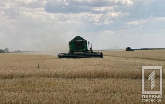 На Дніпропетровщині намолотили вже 2,8 млн тонн зерна, – Мінагрополітики