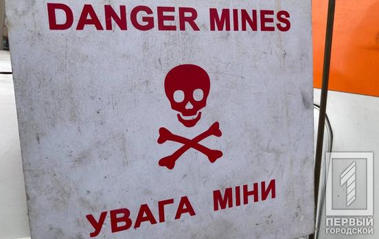 Минулої доби піротехніки знешкодили 30 боєприпасів на території Криворізького району