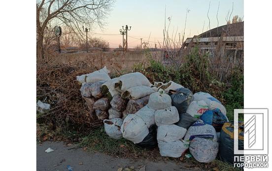 Мешканцям Саксаганського району Кривого Рогу нагадали про заборону спалення сухого та опалого листя