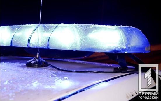 Під час блекауту поліцейські Кривого Рогу затримали 15 водіїв з ознаками сп’яніння