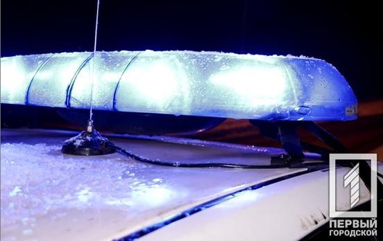 Більше 29 000 повідомлень про правопорушення: Нацполіція України оприлюднила статистику за перший день нового року