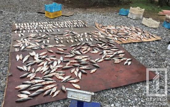 Карасі, лящі та окуні: в Криворізькому районі виявили велику партію виловленої риби на майже 12 млн грн