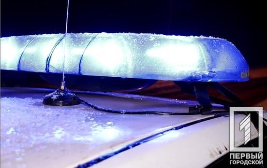 Патрульні поліцейські Кривого Рогу вилучили більше 1500 пачок безакцизних цигарок