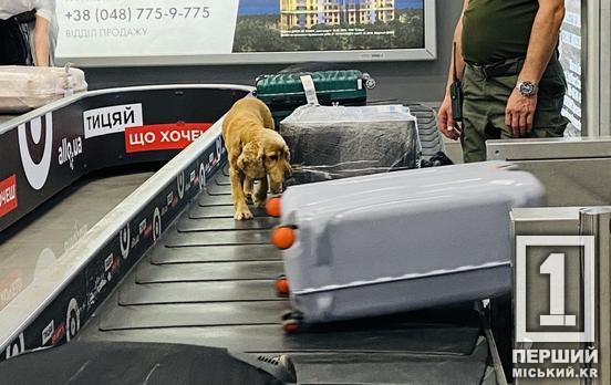 На межі демографічної катастрофи: Україна втратила мільйони людей та увійшла до ТОП-30 «найстаріших» країн світу