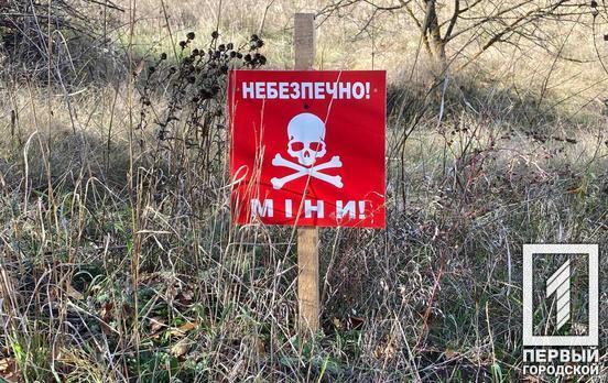 Україна є найбільш забрудненою мінами державою в світі, ‒ експерт