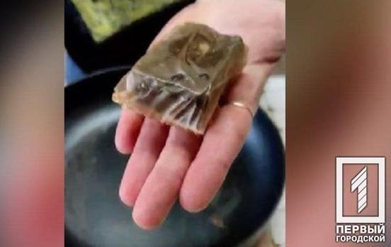 Юна винахідниця з Криворізького району розробила екологічну плівку для пакування