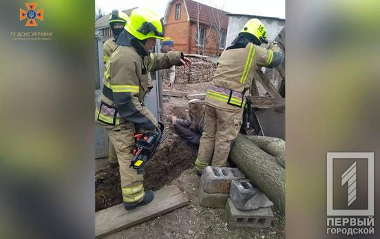 Рятувальники Кривого Рогу допомогли чоловіку, котрого ледь не розчавило дерево
