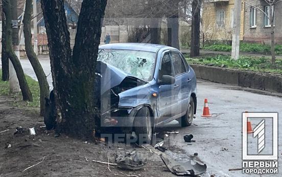 У Кривому Розі після аварії рятувальникам довелось вирізати двох чоловіків з автівки