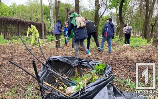 З драйвом та музикою діджея сотні саксаганців вийшли на рейв-толоку у Кривому Розі