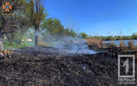 У Кривому Розі разом із очеретом мало не згоріли двоє дітей