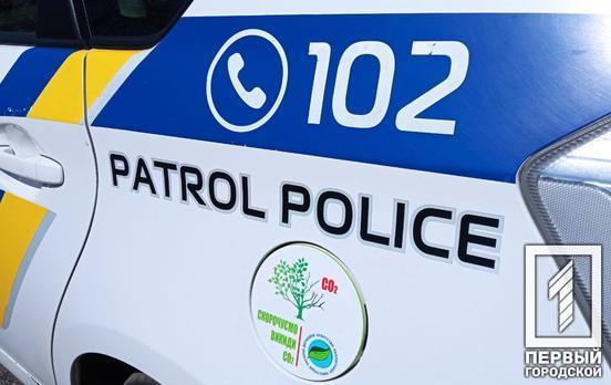 Швырнул камнями в полицейского: агрессивного криворожанина задержали и будут судить за покушение на патрульного