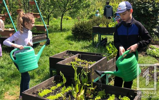 У Кривому Розі дорослі та діти із користю та захопленням провели суботу на «Міському городі» у парку імені Ф