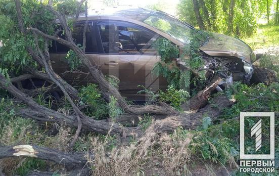 Втратив свідомість прямо за кермом, зачепив іншу автівку і влетів в дерево: у Кривому Розі сталося ДТП