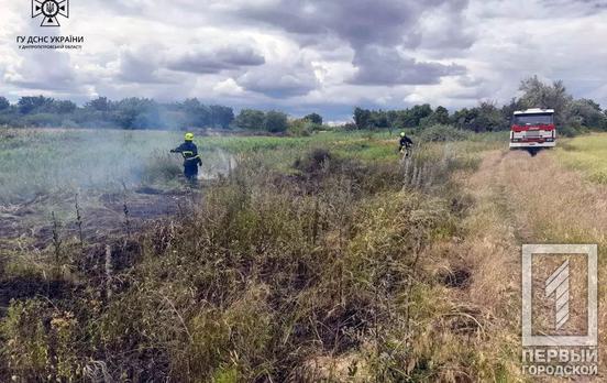Високий рівень пожежної небезпеки: тільки за вчора криворізькі вогнеборці приборкали 6 загорянь на відкритих територіях