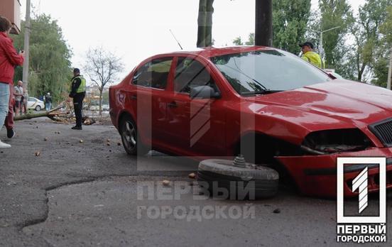 У Кривому Розі Skoda вилетіла на узбіччя та збила жінку