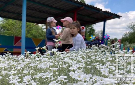 З початку повномасштабної війни народжуваність в Україні скоротилася на 28%