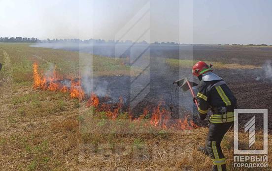 У Криворізькому районі за вихідні сталося 47 пожеж в екосистемах