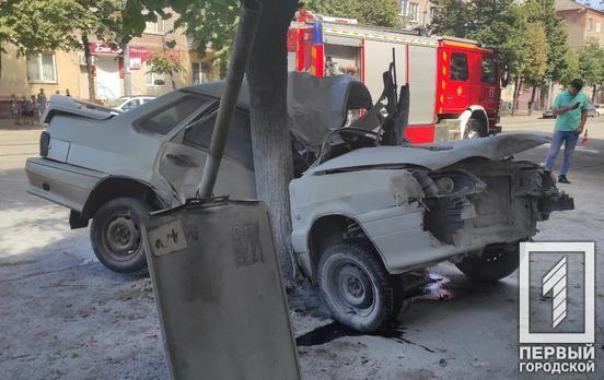 Біля місця удару стояв візочок з дитиною: в Інгулецькому районі у ДТП після зіткнення із деревом загинув водій автомобіля Lаda