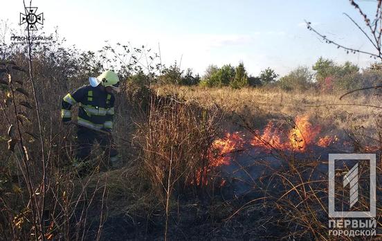 За добу вогнеборці Дніпропетровщини ліквідували 30 загорянь: було «гаряче» і у Кривому Розі