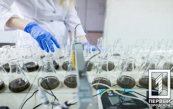 Вміст важких металів: у Кривому Розі перевірили якість ґрунту