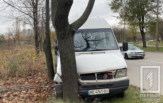 У Кривому Розі на мікрорайоні «Гірницький» маршрутка влетіла у дерево