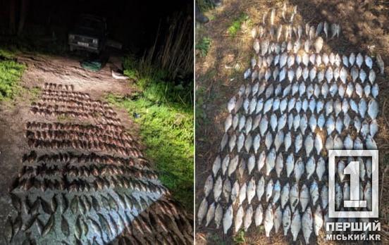 Кривбасс в списке городов-нарушителей: на Днепропетровщине рыбная сфера получила более 25,5 млн грн убытков за прошлый год