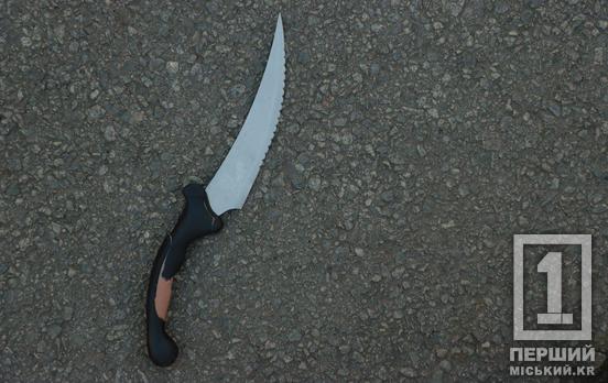 Штрикнув ножем у живіт 22-річного юнака: у Кривому Розі поліція затримала 57-річного нападника