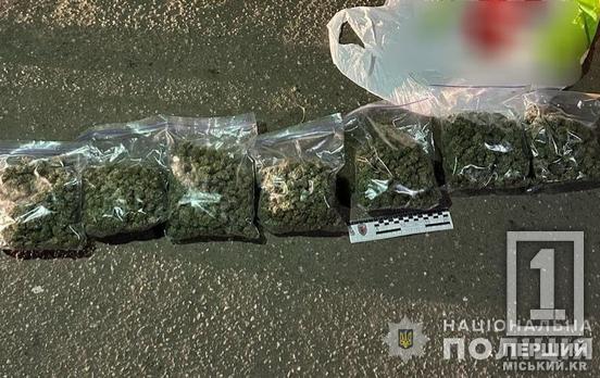 «Заробив» собі на серйозне покарання: у Кривому Розі затримали водія з гранатою та наркотиками