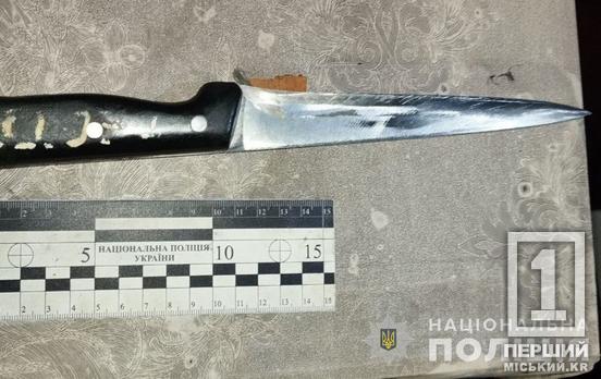 Любов до скону: у Кривому Розі правоохоронці затримали чоловіка, який зарізав співмешканку