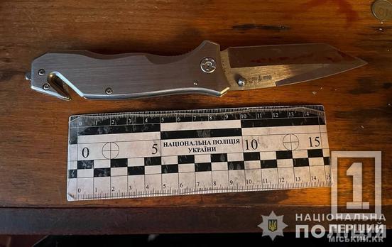 Поцілила у живіт на День закоханих: в Інгулецькому районі Кривого Рогу жінка напала з ножем на чоловіка