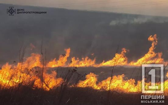 Просят быть ответственнее: за минувшие сутки спасатели на Днепропетровщине потушили 60 возгораний в экосистемах