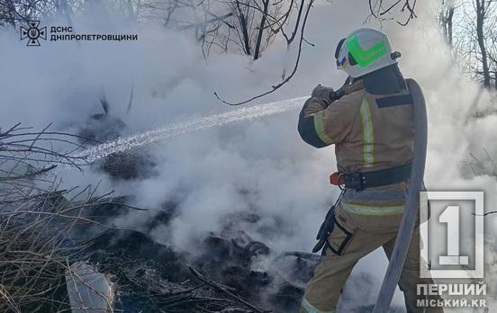 Вместо тюльпанов любимым – запах дыма с привкусом штрафа: еще 9 поджигателей из Днепропетровской области получили наказание