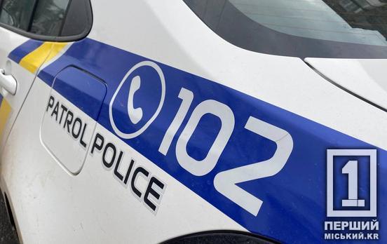 Скриваленою виявили друзі: у Кривому Розі чоловік зарізав співмешканку