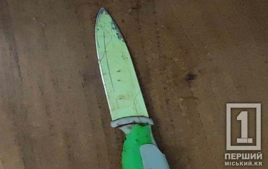 Наніс ножові поранення і їй, і собі: поліцейські Кривого Рогу затримали вбивцю жінки