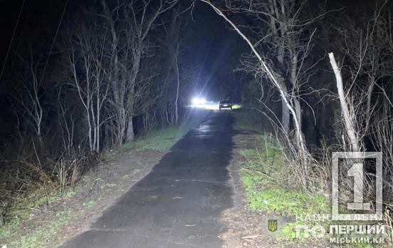 Патрульні почули крики про допомогу: у Тернівському районі Кривого Рогу чоловік намагався зґвалтувати жінку