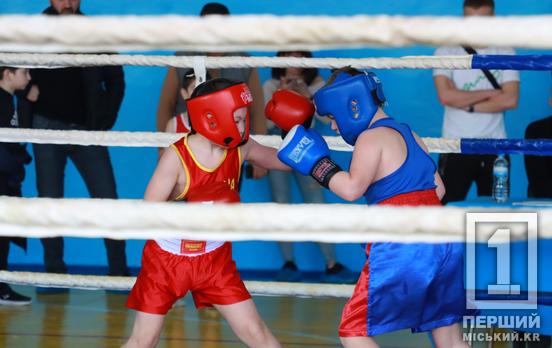 1, 2, 3 – гонг: в Кривом Роге прошел 3 этап Кубка Саксаганского района по боксу среди юных спортсменов