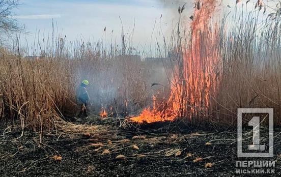 Травми для природи та клопіт рятувальникам: у Кривому Розі минулої доби 16 разів горіла суха трава, 4 - сміття