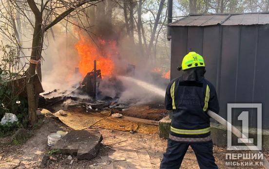 У Кривому Розі через сміття горіли гаражі