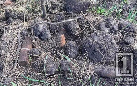 Знахідки, за які могли поплатитися життям: на Криворіжжі знайшли та знешкодили більше півсотні боєприпасів