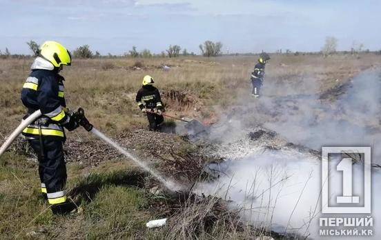 Быть более осмотрительными и помнить о последствиях: на Днепропетровщине за прошлые сутки горели 15 га экосистем