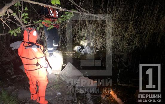 Лежав у хащах у воді: у Саксаганському районі Кривого Рогу знайшли труп