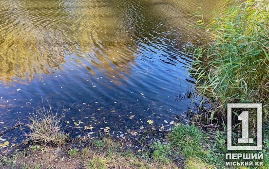 Взяли 17 проб: какое состояние воды в Кривом Роге по оценкам специалистов