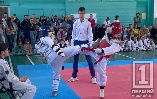 Доблесть, которая сверкает сильнее кубков: в Кривом Роге прошел открытый Чемпионат по тхэквондо