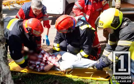 Влетіли у дерево: у Кривому Розі на вулиці Миколи Світальського легковик потрапив у ДТП, є постраждала дитина