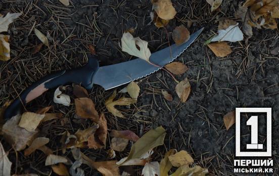 Невдала прогулянка по лісосмузі: у Кривому Розі через ніж у рюкзаку чоловік потрапив під суд