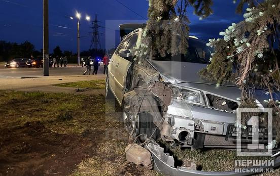 Алкоголь у крові - чекай біди: криворіжець скоїв ДТП, зніс ялинку та втік