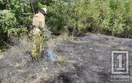 Спички или окурки – не игрушка: в Кривом Роге на Содружестве ГСЧС потушила пожар